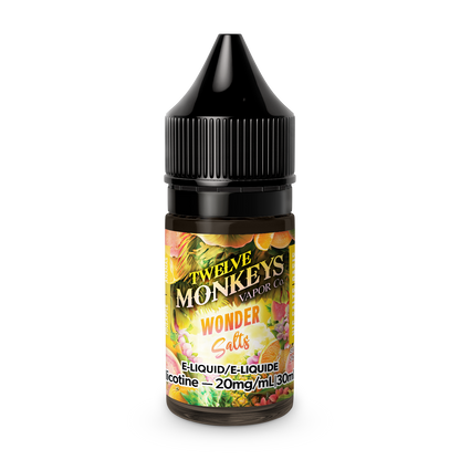 Twelve Monkeys Original (Salt 30mL)